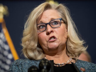 Ousted Liz Cheney plotting mid-term massacre to ensure Trump is never elected again