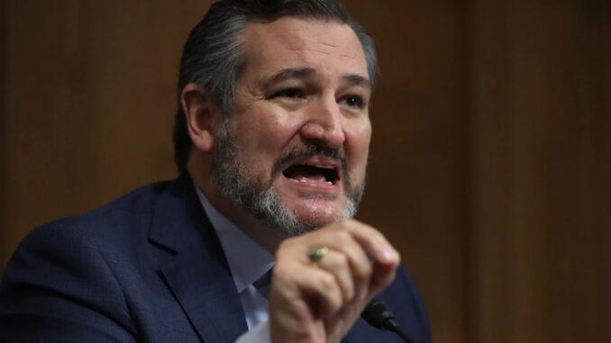 Ted Cruz tells GOP to grow a backbone and stand up to 'woke' corporate America