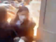 Pro-Hamas terrorists fire bomb Jews in NYC