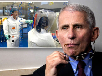 Feds launch investigation into US funding COVID lab in Wuhan