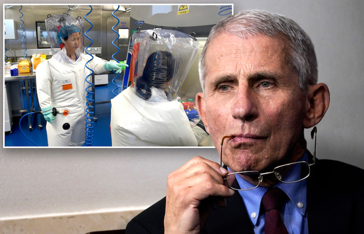 Feds launch investigation into US funding COVID lab in Wuhan