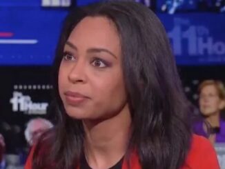 NYT columnist says American flag is deeply disturbing and calls for separating America from whiteness