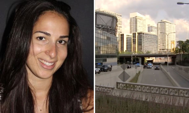 Leftist scholar who sought to prove justice system is racist against black people shot dead by black man in Chicago