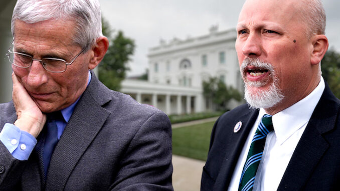 Texas lawmaker Rep. Chip Roy floats criminal probe into Dr. Fauci