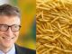 McDonald's french fries are grown on Bill Gates' farmland