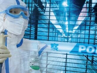 Majority of Americans believe COVID-19 virus came from Wuhan lab