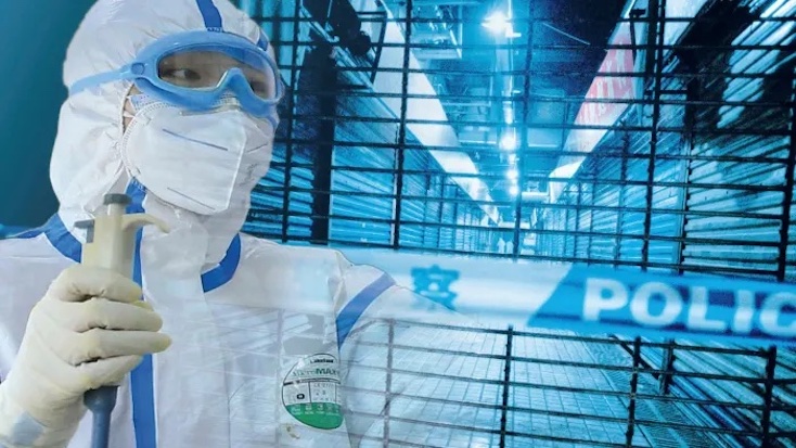 Majority of Americans believe COVID-19 virus came from Wuhan lab