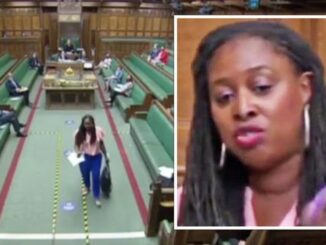 MP Dawn Butler