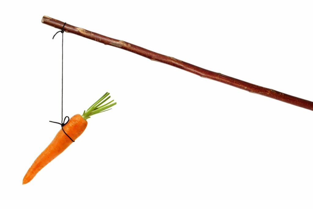 NYC MAYOR DE BLAISO DANGLES CARROT