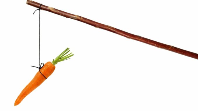 NYC MAYOR DE BLAISO DANGLES CARROT