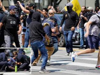 Masked Antifa goons get their asses handed to them by patriots in California