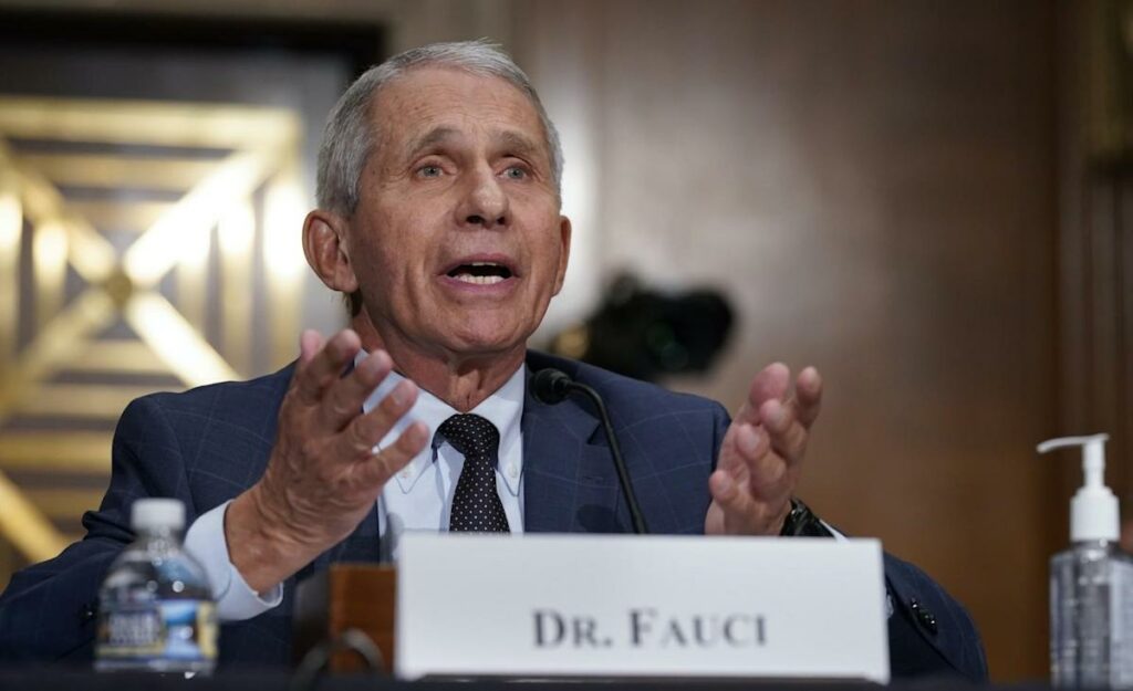 Dr Fauci