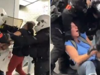 French cops beat girl in mall for not carrying a vaccine passport