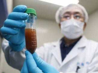 Wuhan scientists planned to release coronaviruses into Chinese bats 18 months before pandemic