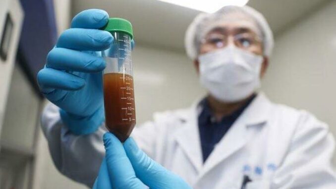 Wuhan scientists planned to release coronaviruses into Chinese bats 18 months before pandemic