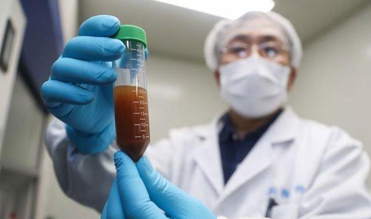 Wuhan scientists planned to release coronaviruses into Chinese bats 18 months before pandemic