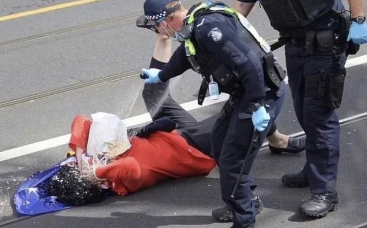 Elderly woman beaten and pepper-sprayed by police for attending anti-lockdown march