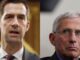 Senator Tom Cotton demands Fauci is prosecuted for funding Wuhan lab