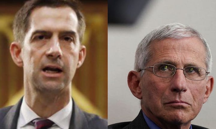 Senator Tom Cotton demands Fauci is prosecuted for funding Wuhan lab