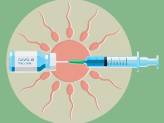 covid vaccine infertility