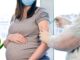 covid flu vaccines pregnancy