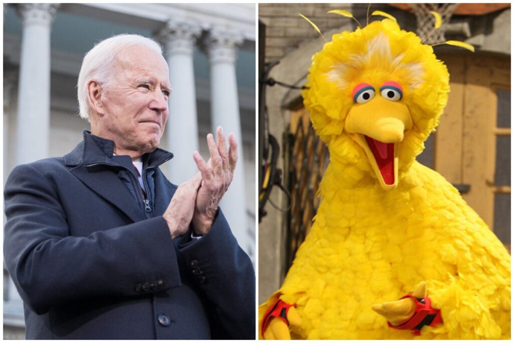 Biden Big Bird