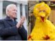 Biden Big Bird