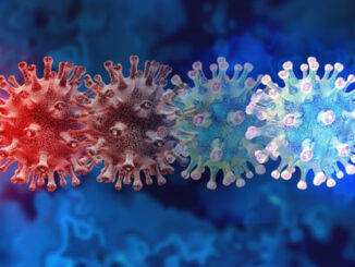 Botswana covid variant