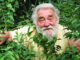 David Bellamy