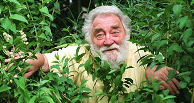 David Bellamy