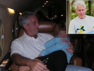 FAA leaks additional 700 Epstein pedophile flight details