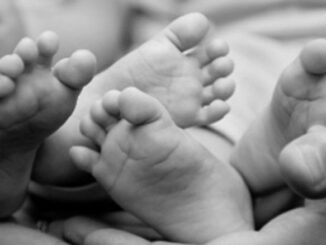 India's fertility rates