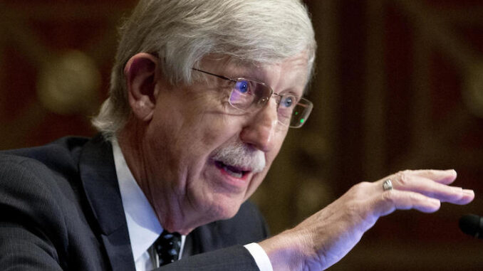 NIH director calls for the arrest of anti-Fauci conspiracy theorists