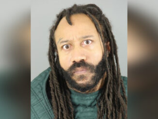 Black supremacist Darrell Brooks intentionally killed as many white people with his car, new court documents show