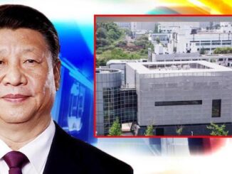 Government researchers sent viral DNA to Wuhan Lab for years