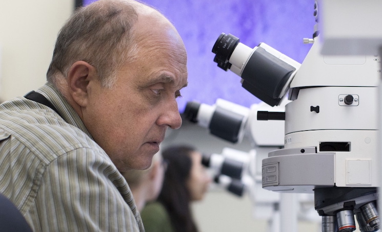 CDC's chief virus investigator found dead