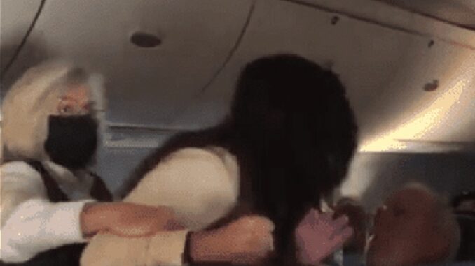 Mask Karen who beat up 80 year old man on plane compares herself to Rosa Parks