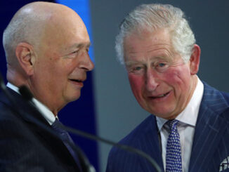 The World Economic Forum (WEF) released a letter last week which mentioned the 'Great Reset.'