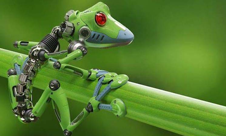 Scientists develop first robot capable of reproducing and replicating itself