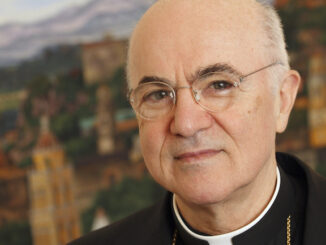 Archbishop Vigano says people who fight against the 'New World Order' are protected by God