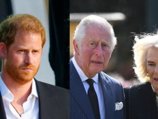 Harry Charles Camilla Royals