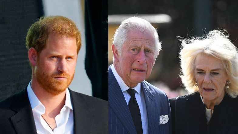 Harry Charles Camilla Royals