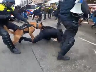 Dutch police deploy wild attack dogs to maul anti-lockdown protestors