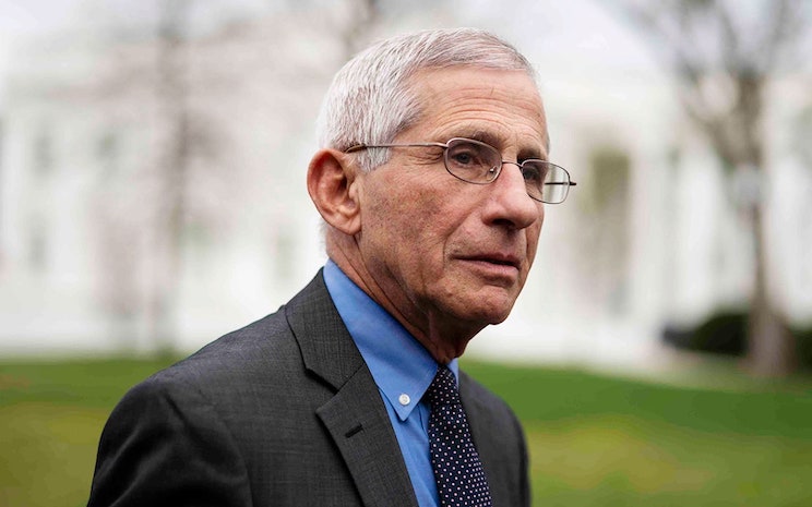 Most Americans think Fauci is a liar, according to new poll