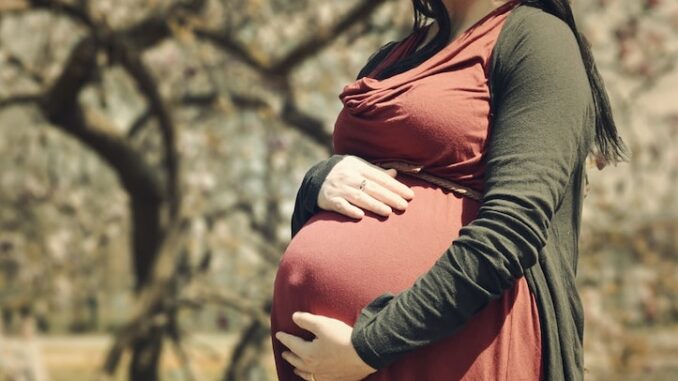 Big Tech executives propose creating synthetic wombs to take that job away from women