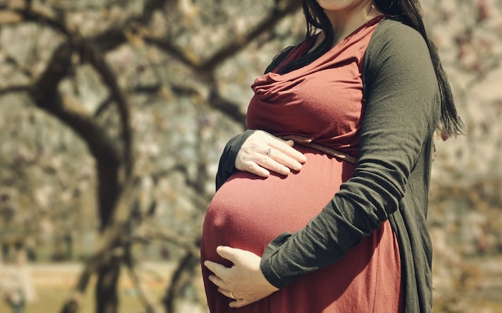 Big Tech executives propose creating synthetic wombs to take that job away from women