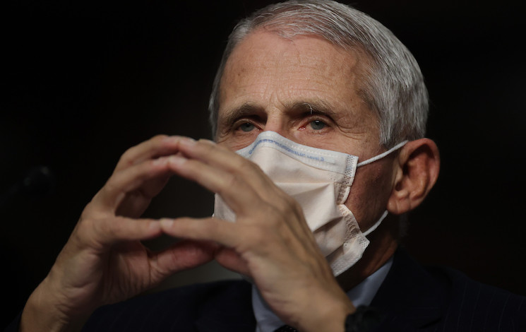 Twitter bans Project Veritas within minutes of their Fauci gain of function expose