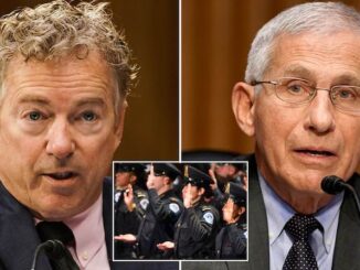Rand Paul to prosecute Fauci when Republicans retake the Senate