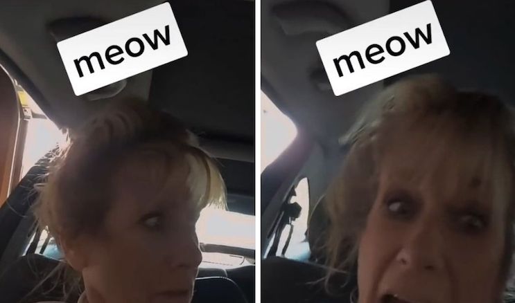 A viral TikTok video in which a woman claiming to be a substitute teacher rants about a school firing her for failing to respect a student's decision to identify as a cat was an "experiment" to see how online fake news really is.