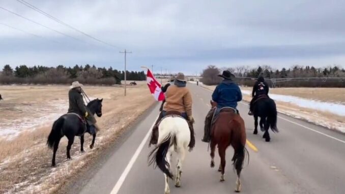 cowboys on horseback